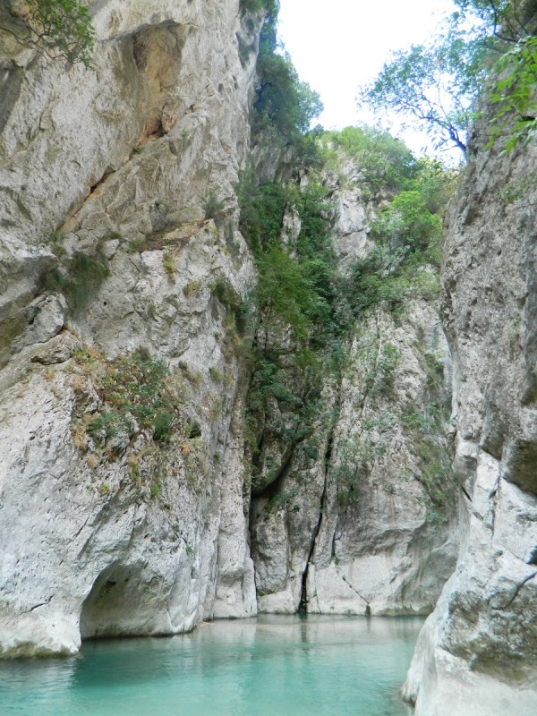 DSCN2813.JPG