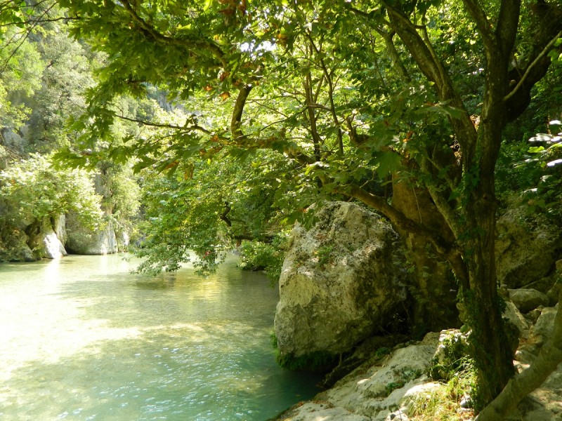DSCN2820.JPG
