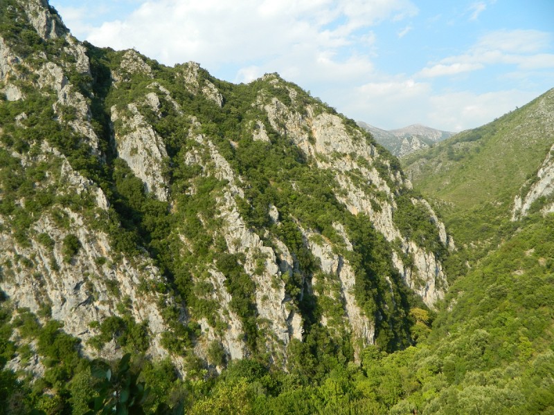 DSCN2821.JPG