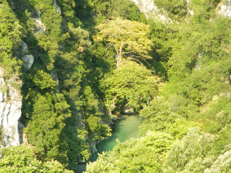 DSCN2823.JPG