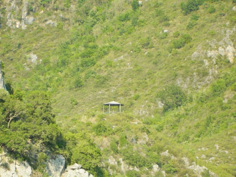 DSCN2825.JPG