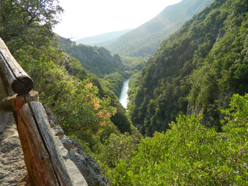 DSCN2830.JPG