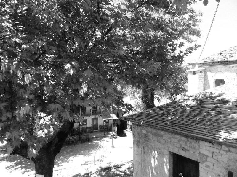DSCN3051.JPG