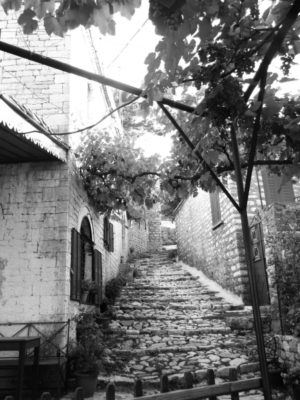 DSCN3116.JPG