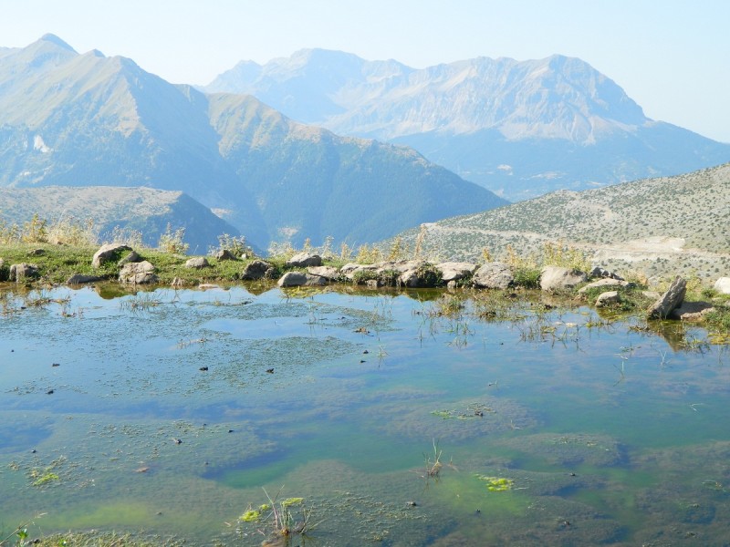 DSCN3126.JPG