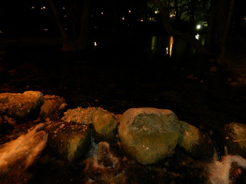 DSCN3147.JPG