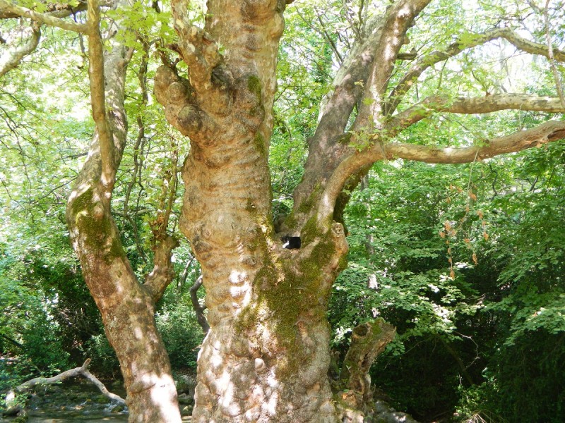 DSCN3167.JPG