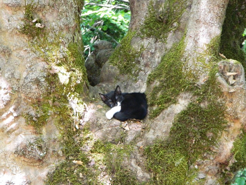 DSCN3168.JPG