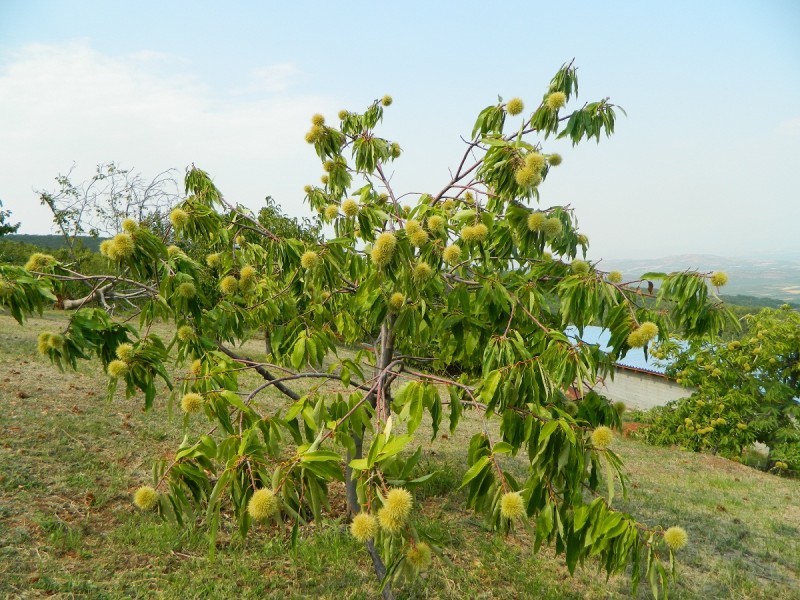 DSCN3177.JPG