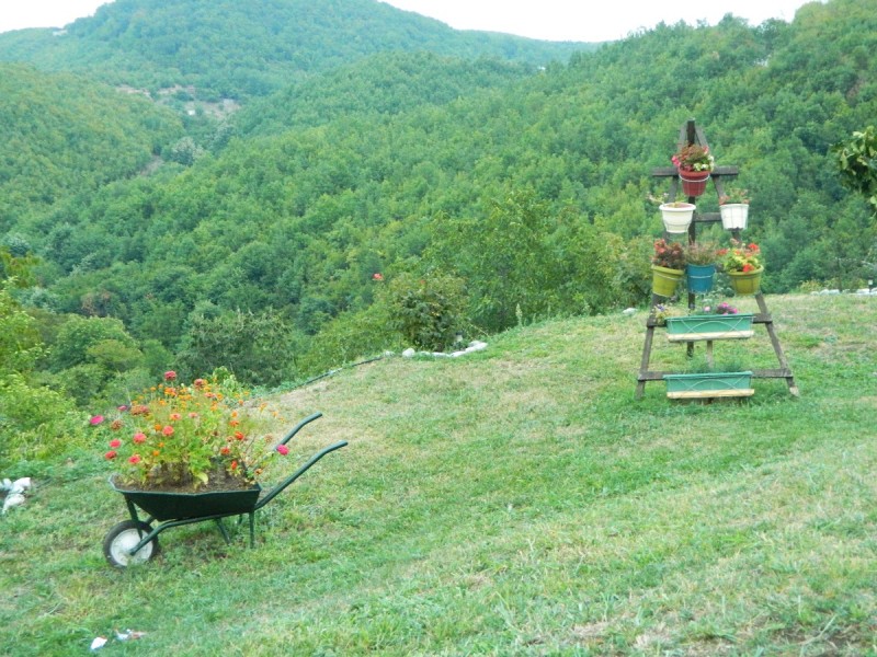 DSCN3188.JPG