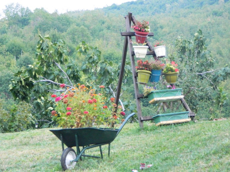 DSCN3193.JPG
