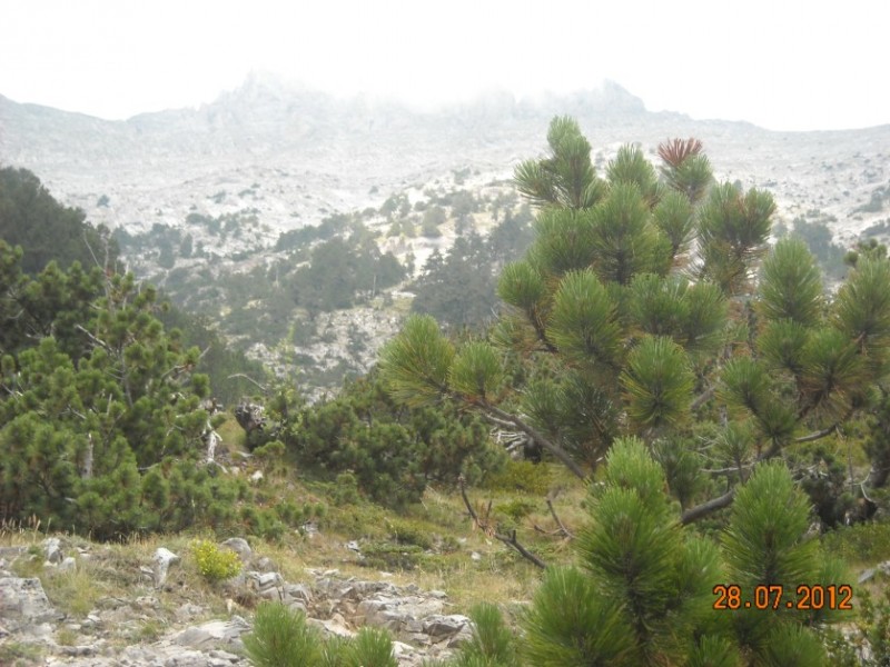 mitikas 020.jpg