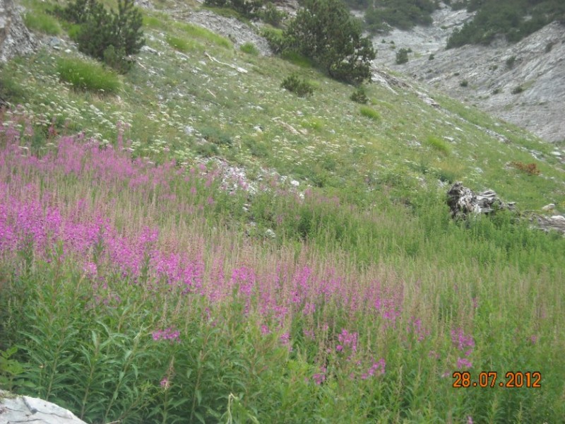 mitikas 025.jpg