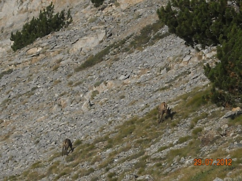 mitikas 037.jpg