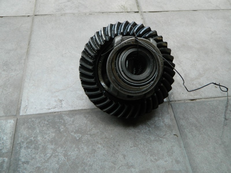 DSCN0536.JPG