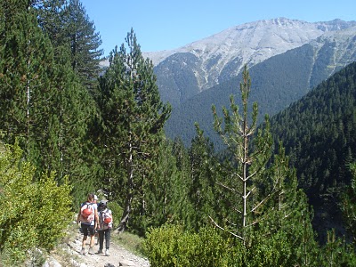 4prionia-sphlios.JPG