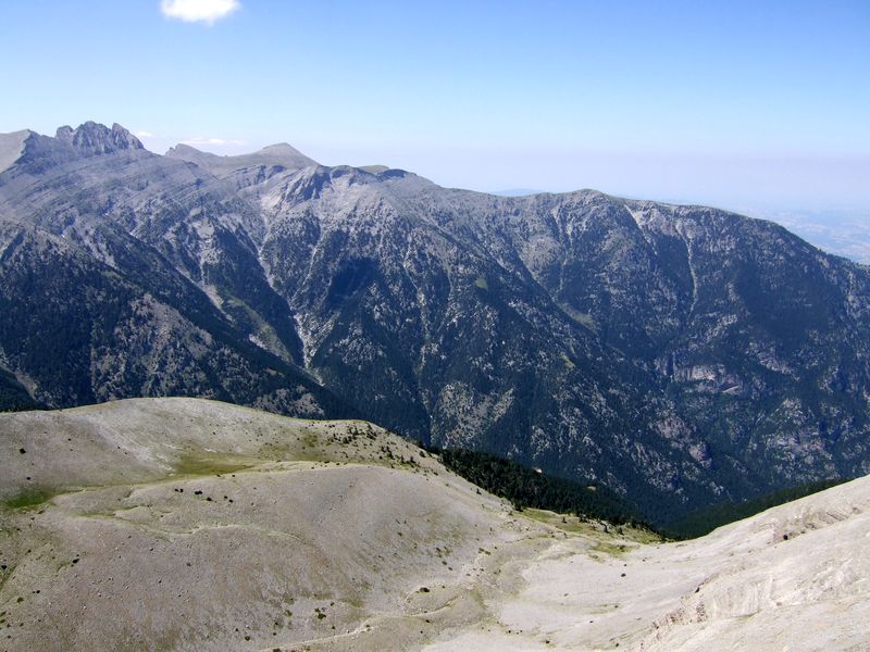 7.zonaria.JPG