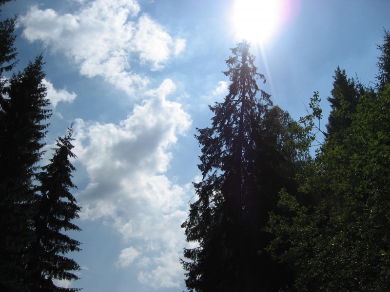 IMG_4342.JPG