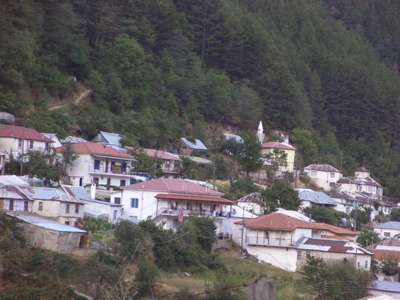 SANY0030.JPG