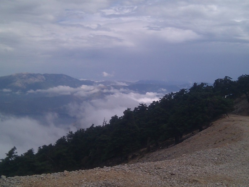 IMG_20120916_121607.jpg