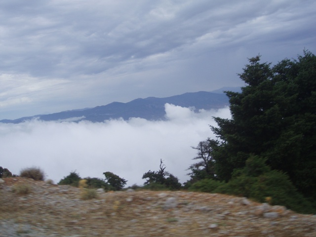 P1010150.JPG