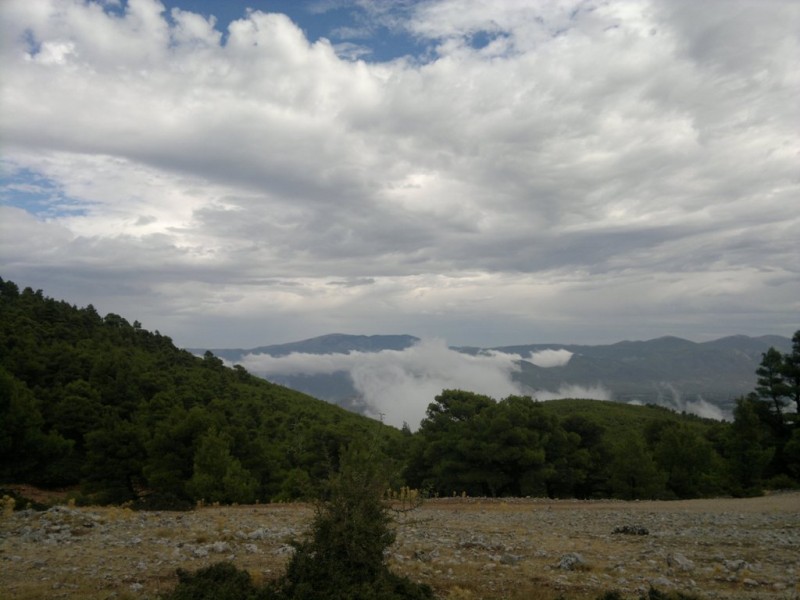 16092012269.jpg