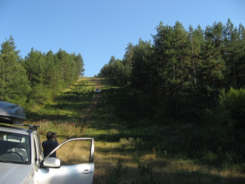 IMG_3790.JPG