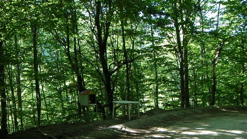 SANY0006.JPG