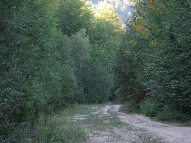 IMG_3831.JPG