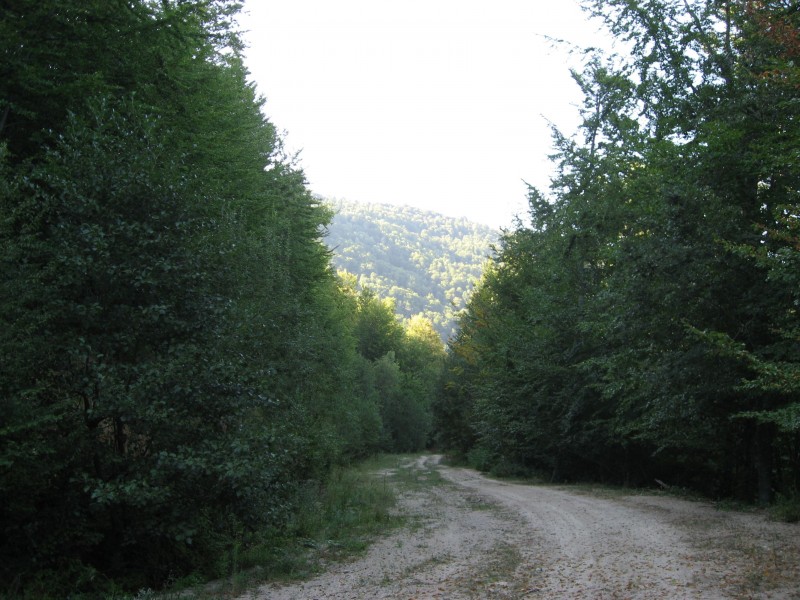 IMG_3832.JPG