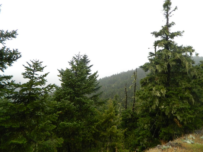DSCN3298.JPG