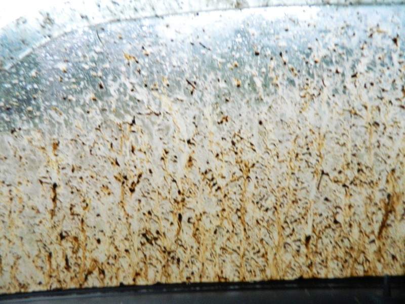 DSCN3306.JPG