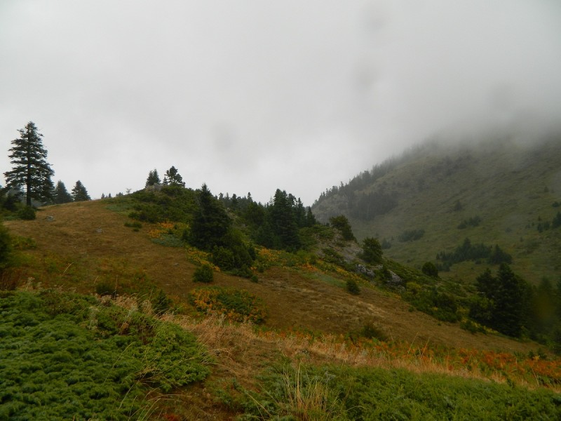 DSCN3310.JPG