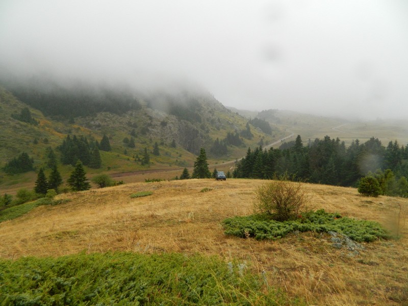 DSCN3311.JPG