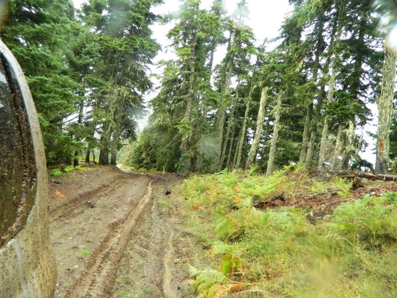 DSCN3320.JPG