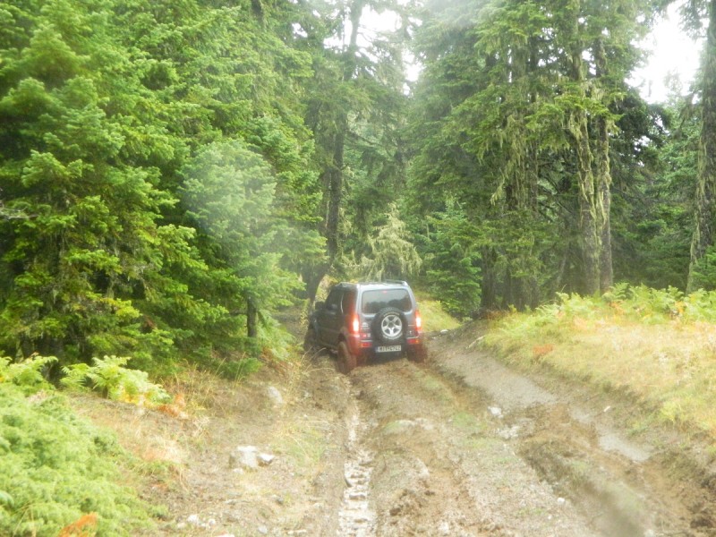 DSCN3317.JPG