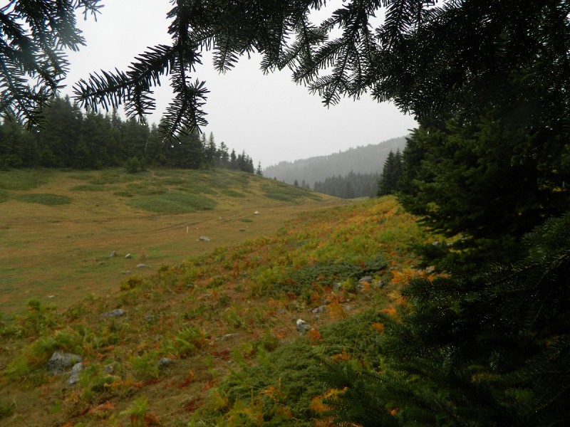 DSCN3429.JPG