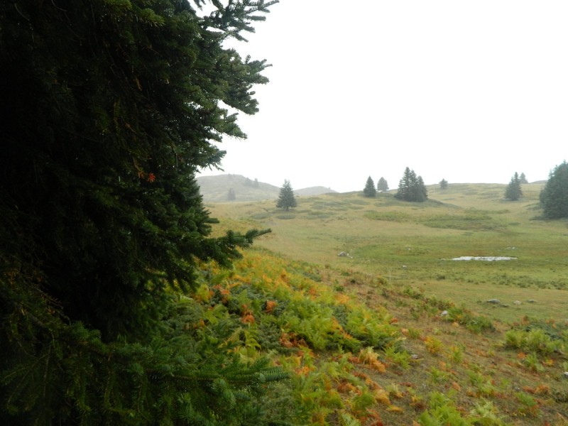 DSCN3430.JPG