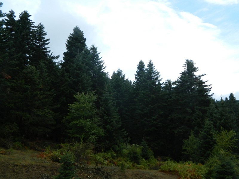DSCN3457.JPG