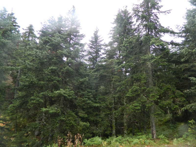 DSCN3458.JPG