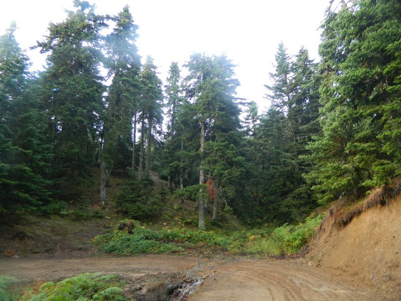 DSCN3462.JPG