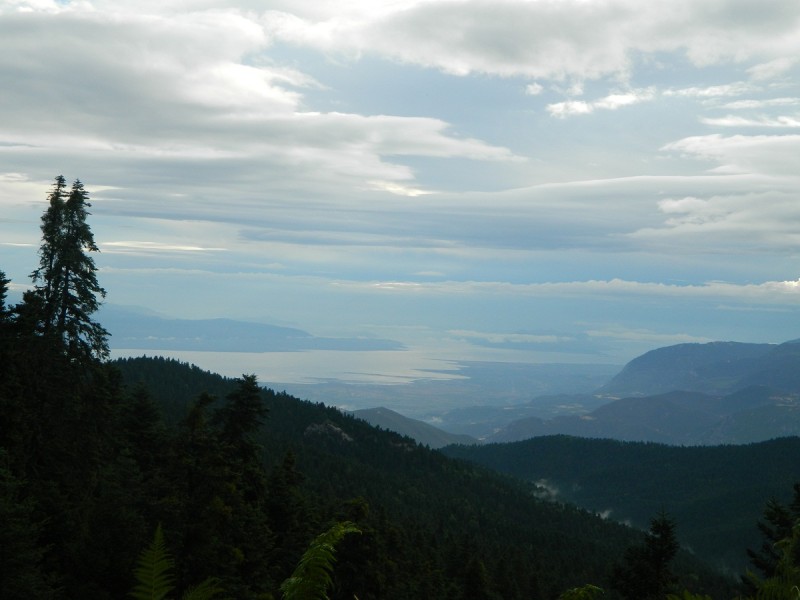 DSCN3465.JPG