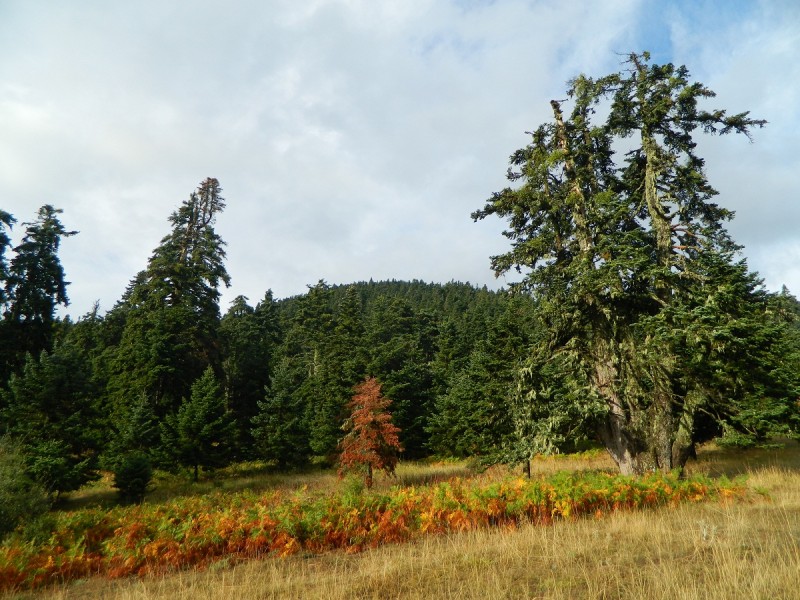 DSCN3467.JPG