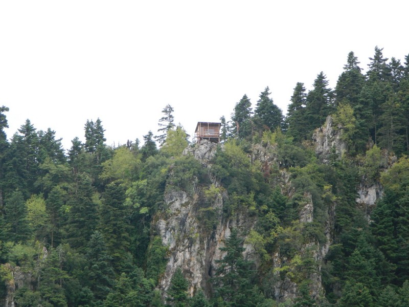 DSCN3476.JPG