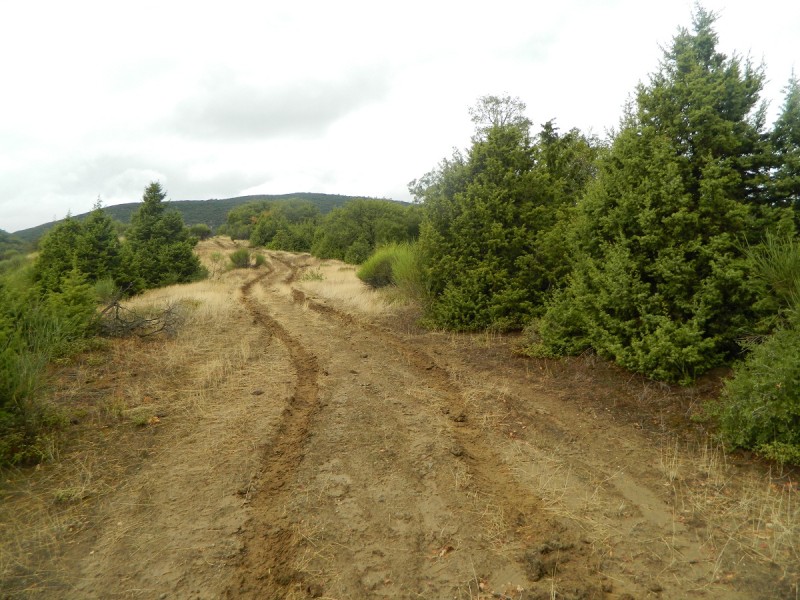 DSCN3477.JPG