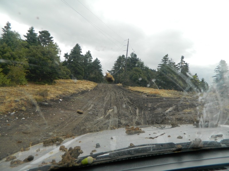 DSCN3486.JPG