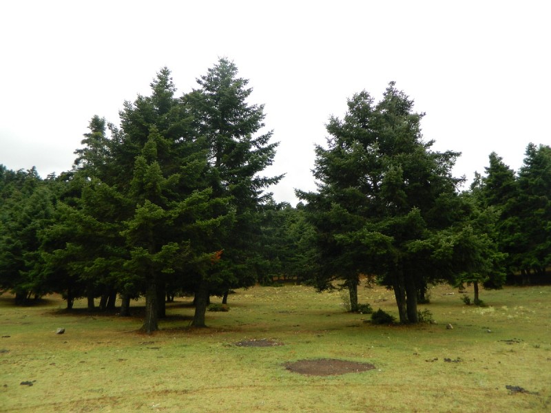 DSCN3489.JPG