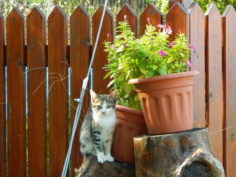 DSCN3508.JPG