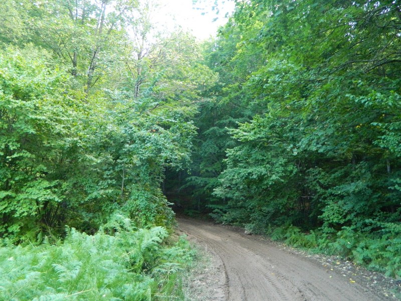 DSCN3516.JPG