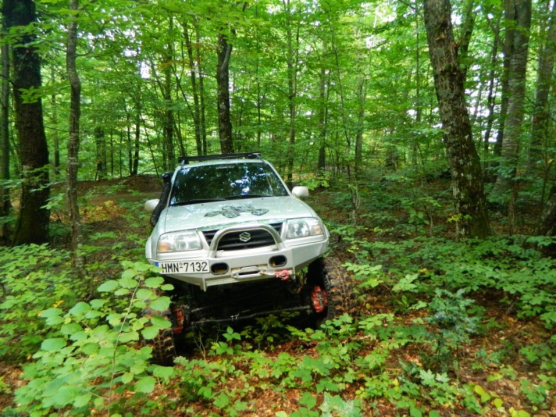 DSCN3517.JPG